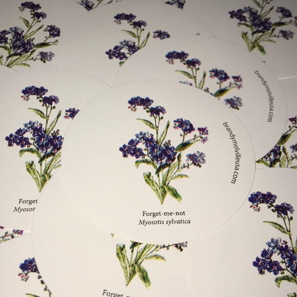 Brandy Melville Accessories - Brandy Melville Forget Me Not Flower Stickers Rare
